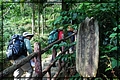 2011-12-18 10-52-29往奉天岩途中.JPG
